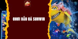 Chơi Bắn Cá Sunwin - Trải Nghiệm Thú Vị Nhận Thưởng Lớn